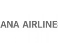 asiana airlines